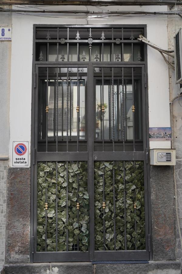 Apartment Magri